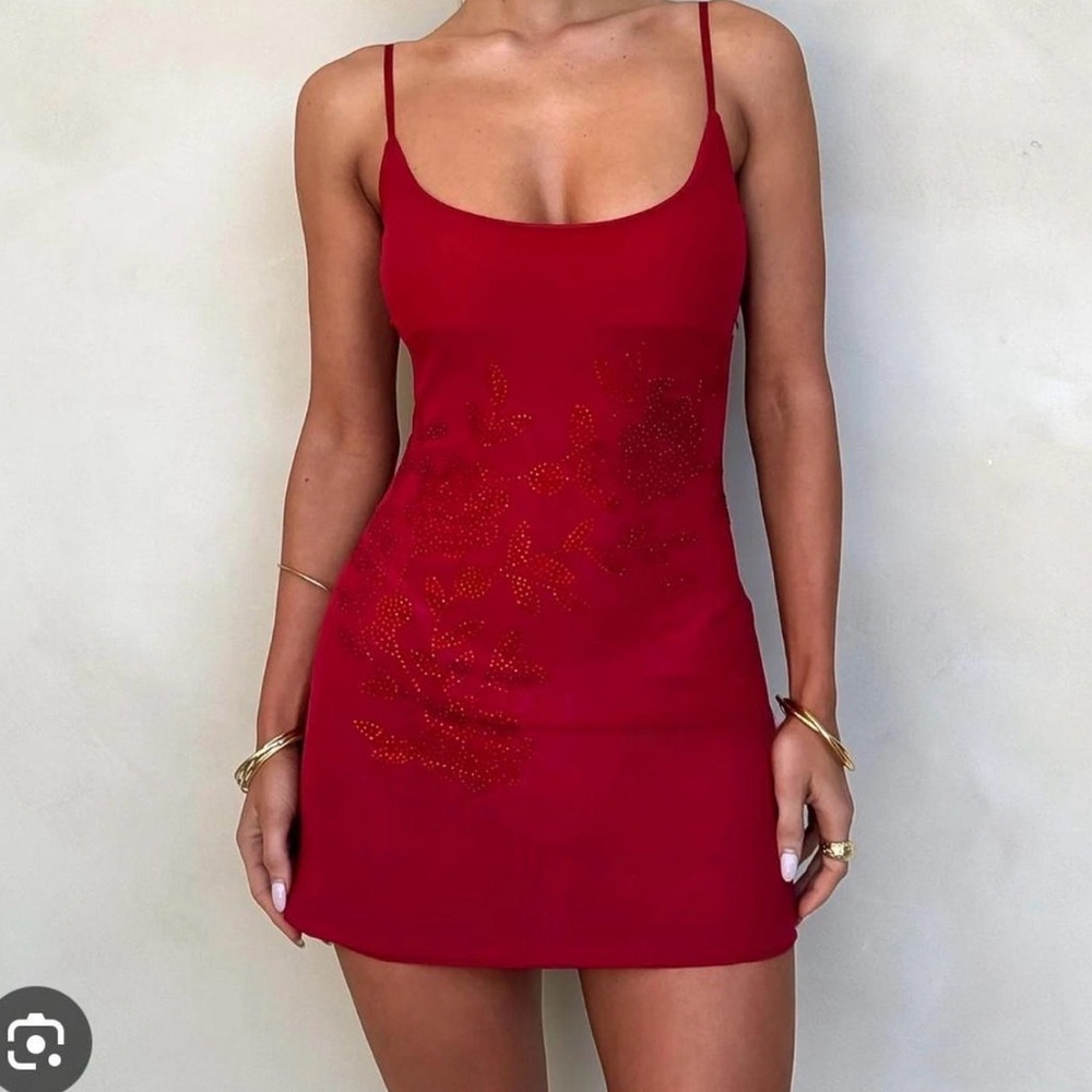 SOLD Tiger Mist Red Mini Dress